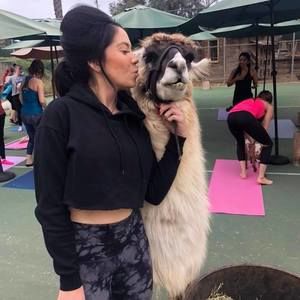 Meet your Posher, Anne